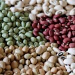 Feijão: geadas preocupam produtores durante o plantio